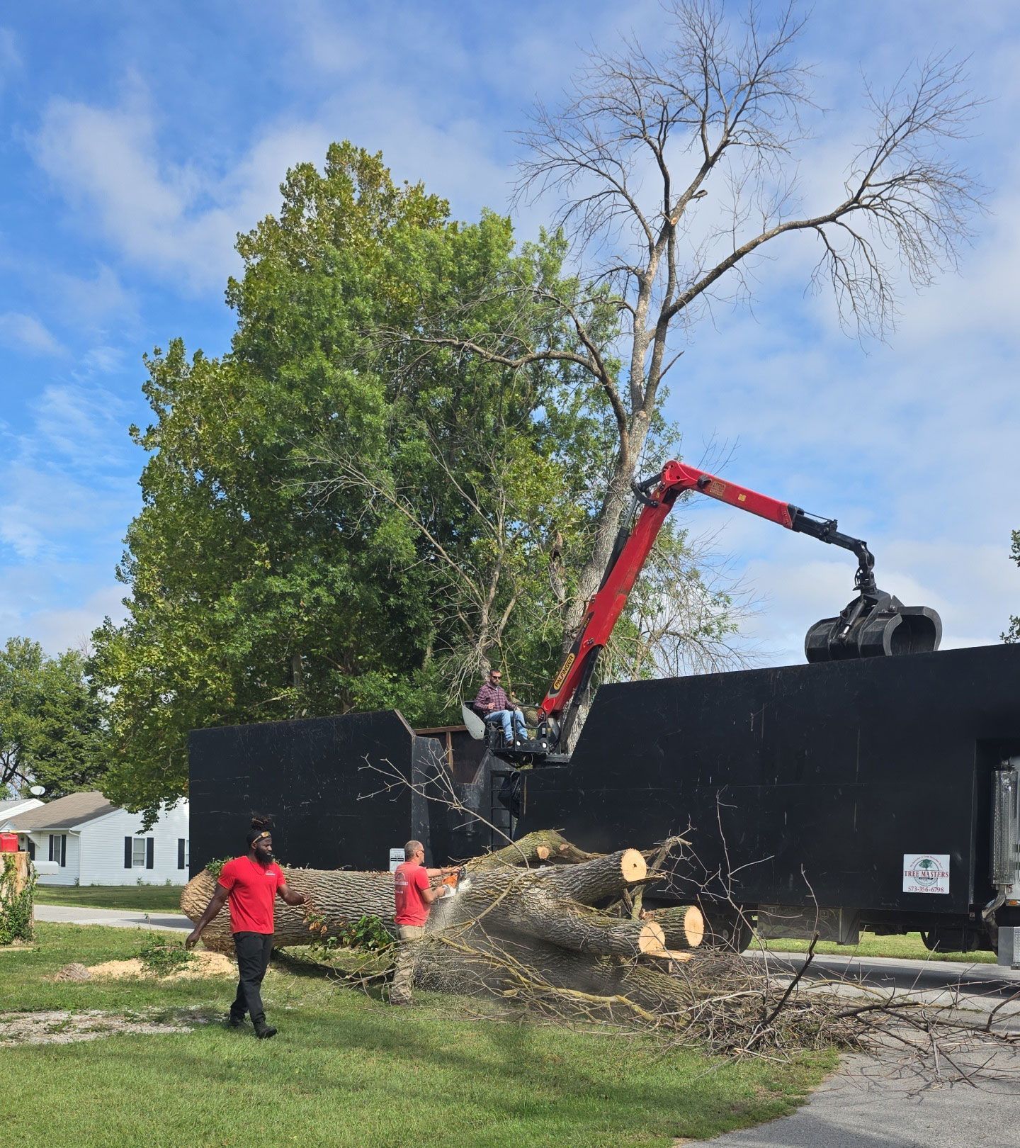 Tree removal crew cutting down a large tree beside a black wall, with a red crane and fallen trunk sections.