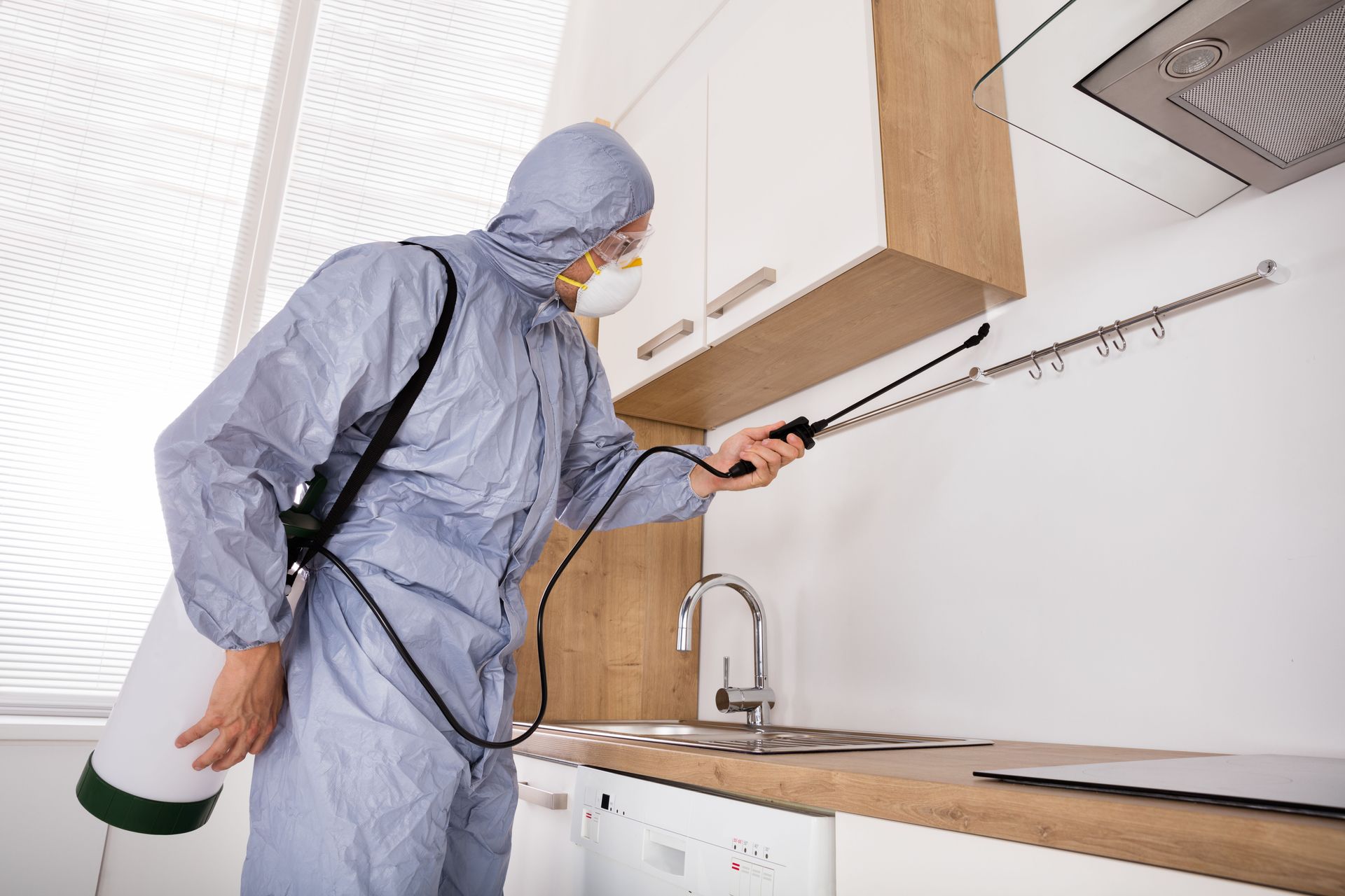 local pest control