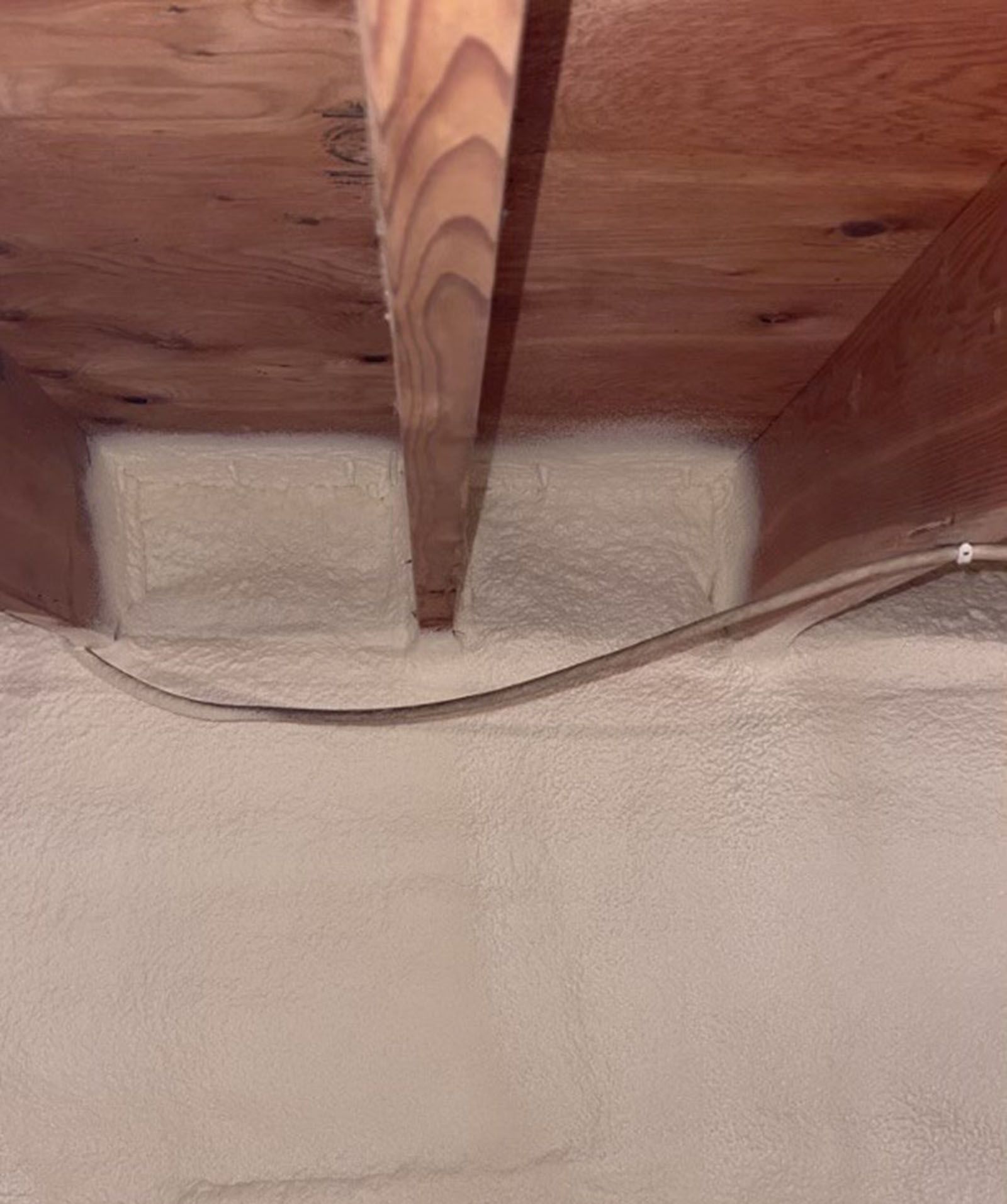Basement and crawspace encapsulation service