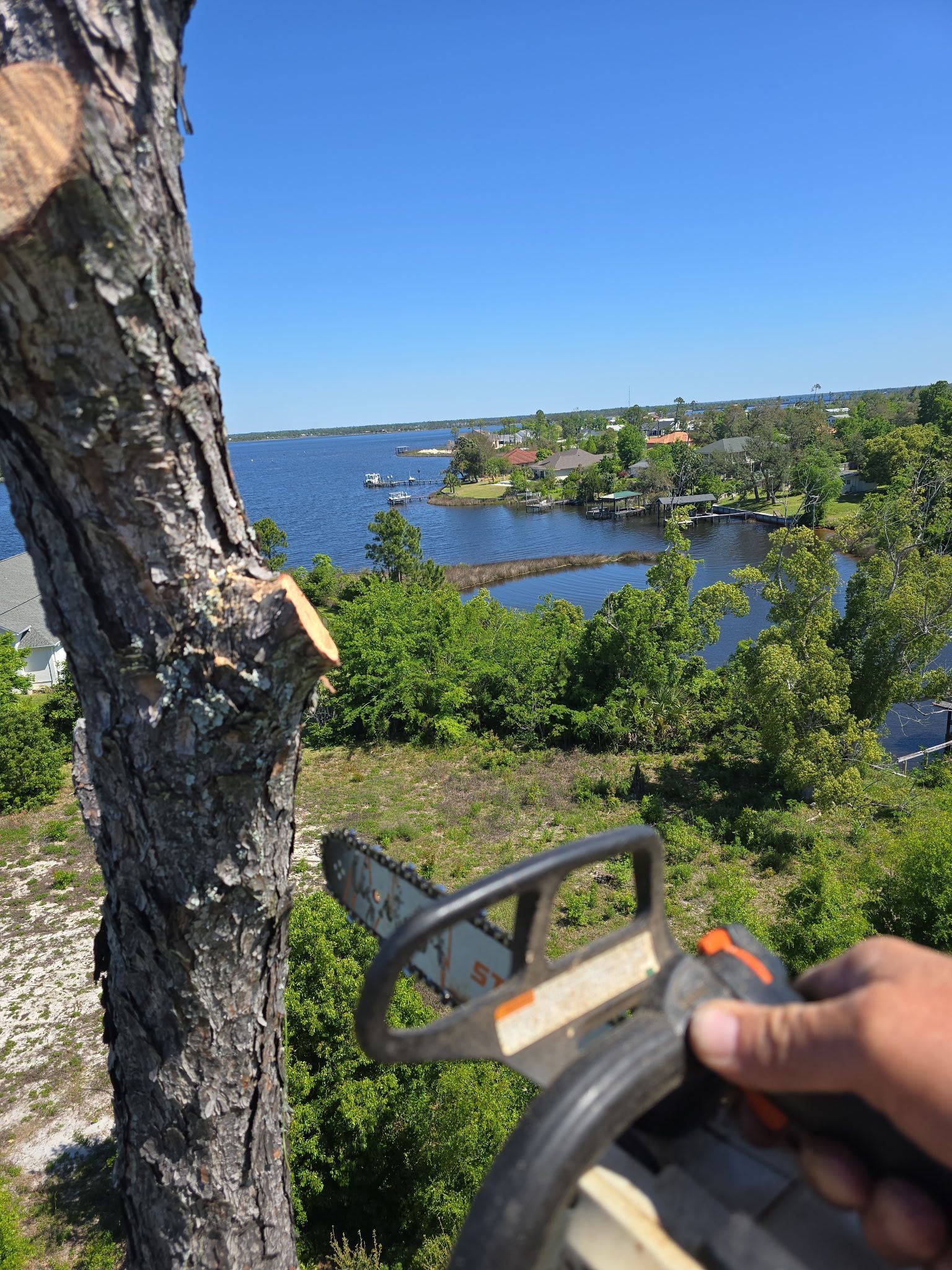 Hand holding a chainsaw near a tree by a lakeside overlook on a sunny day