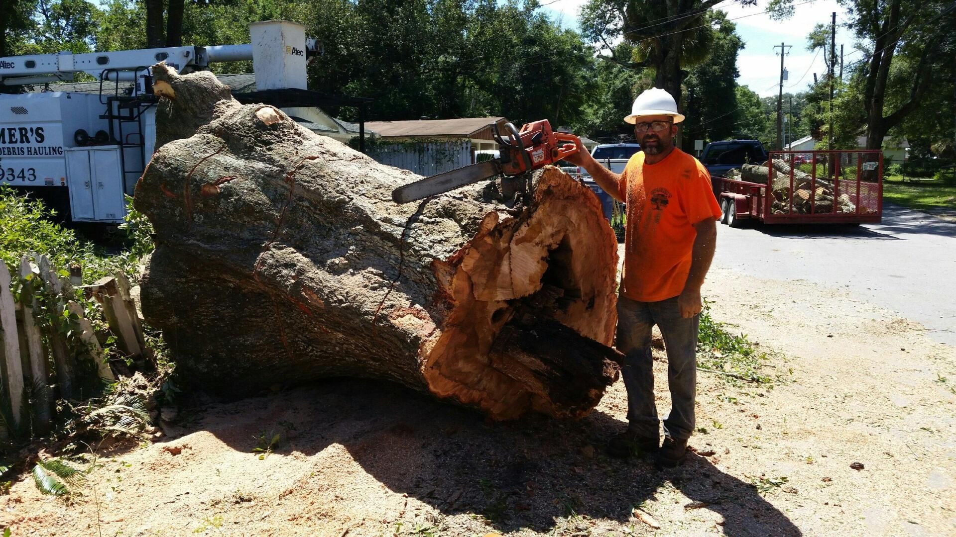 Man in orange safety gear stands beside a fallen uprooted tree blocking a roadside.