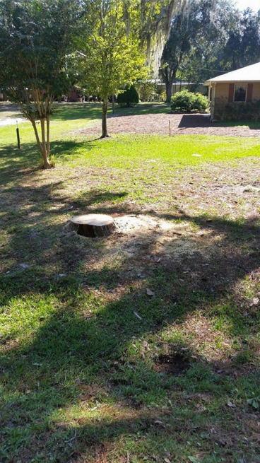 Sunny yard with trees, grass, and a small round fire pit near a house porch.