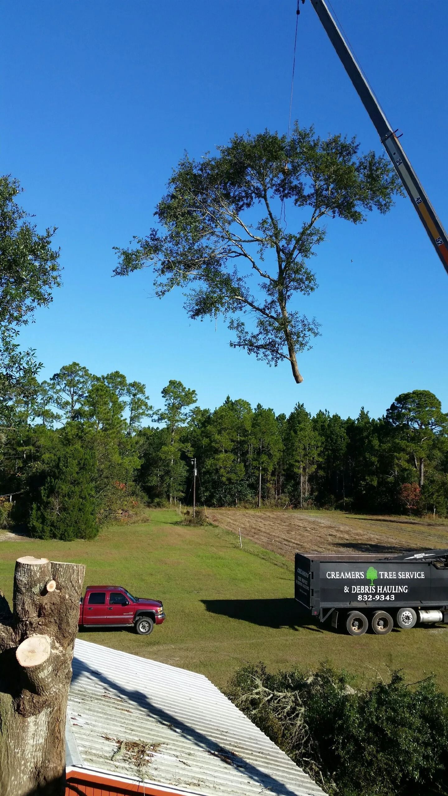 Red truck and black trailer on a grassy field under a blue sky with a tall tree overhead