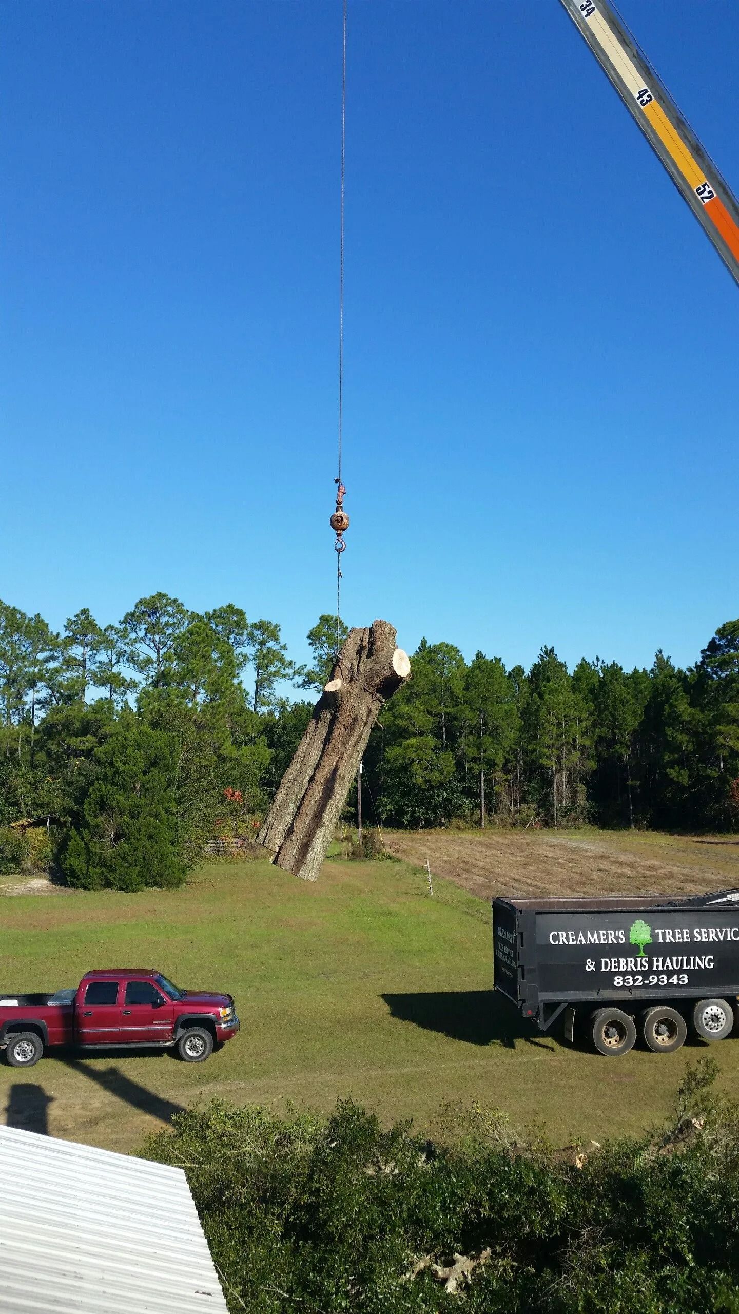 Crane lifting a leaning tree trunk in a grassy field, with a red truck and black trailer nearby under a blue sky