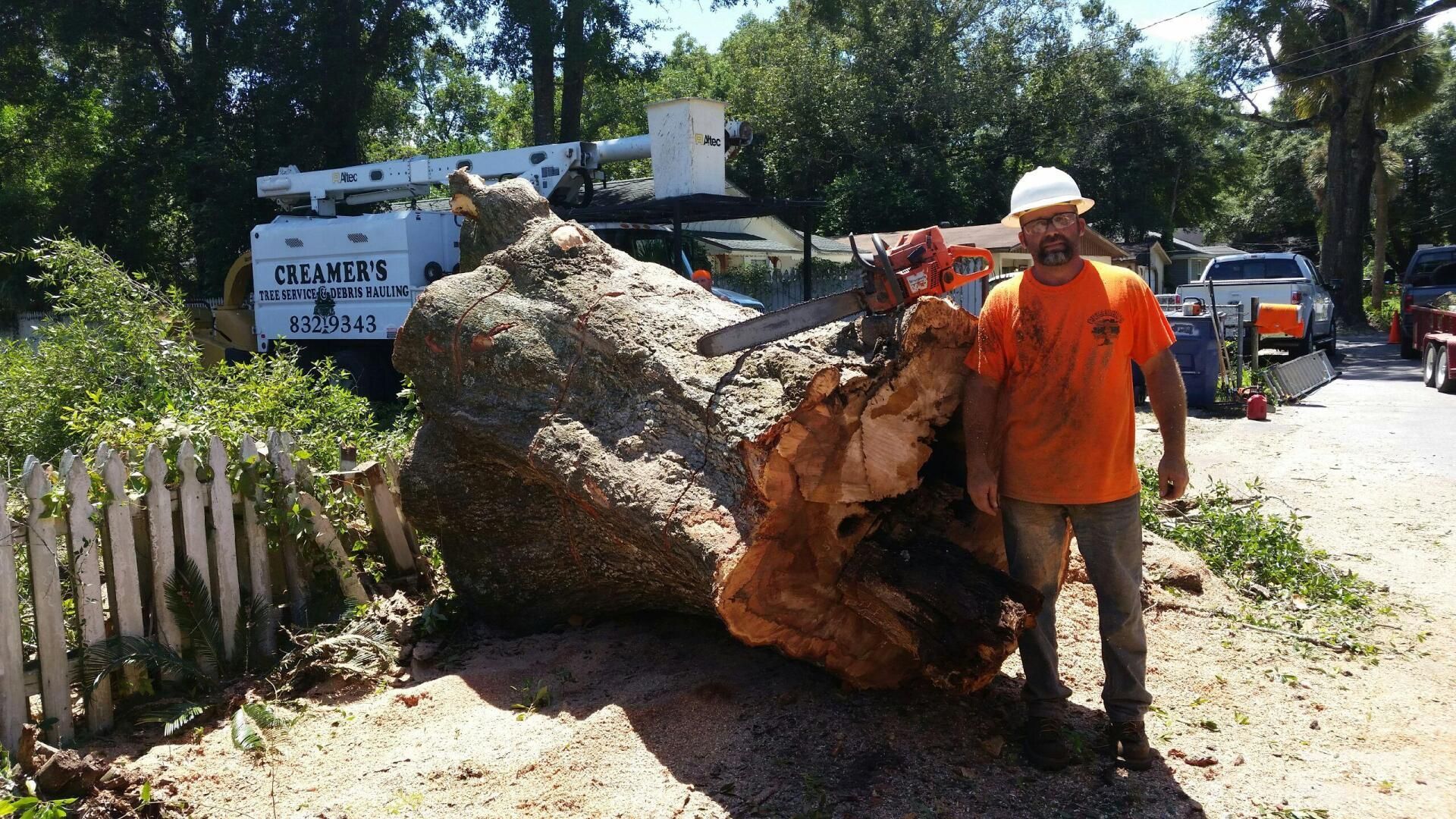Worker in orange safety gear stands beside a large uprooted tree blocking a roadside.