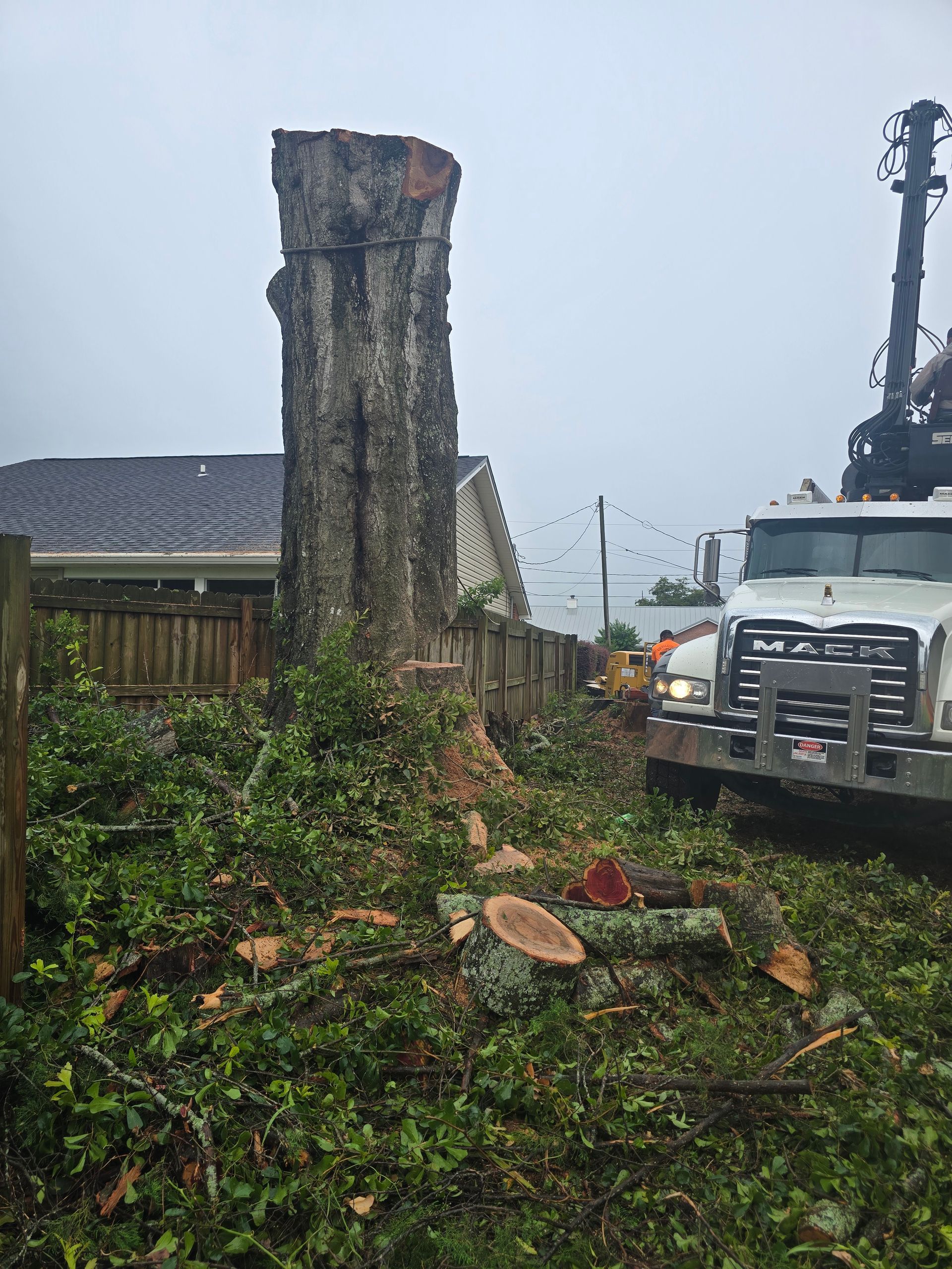 Cut tree stump with branches on wet roadside beside a white truck and house in rain