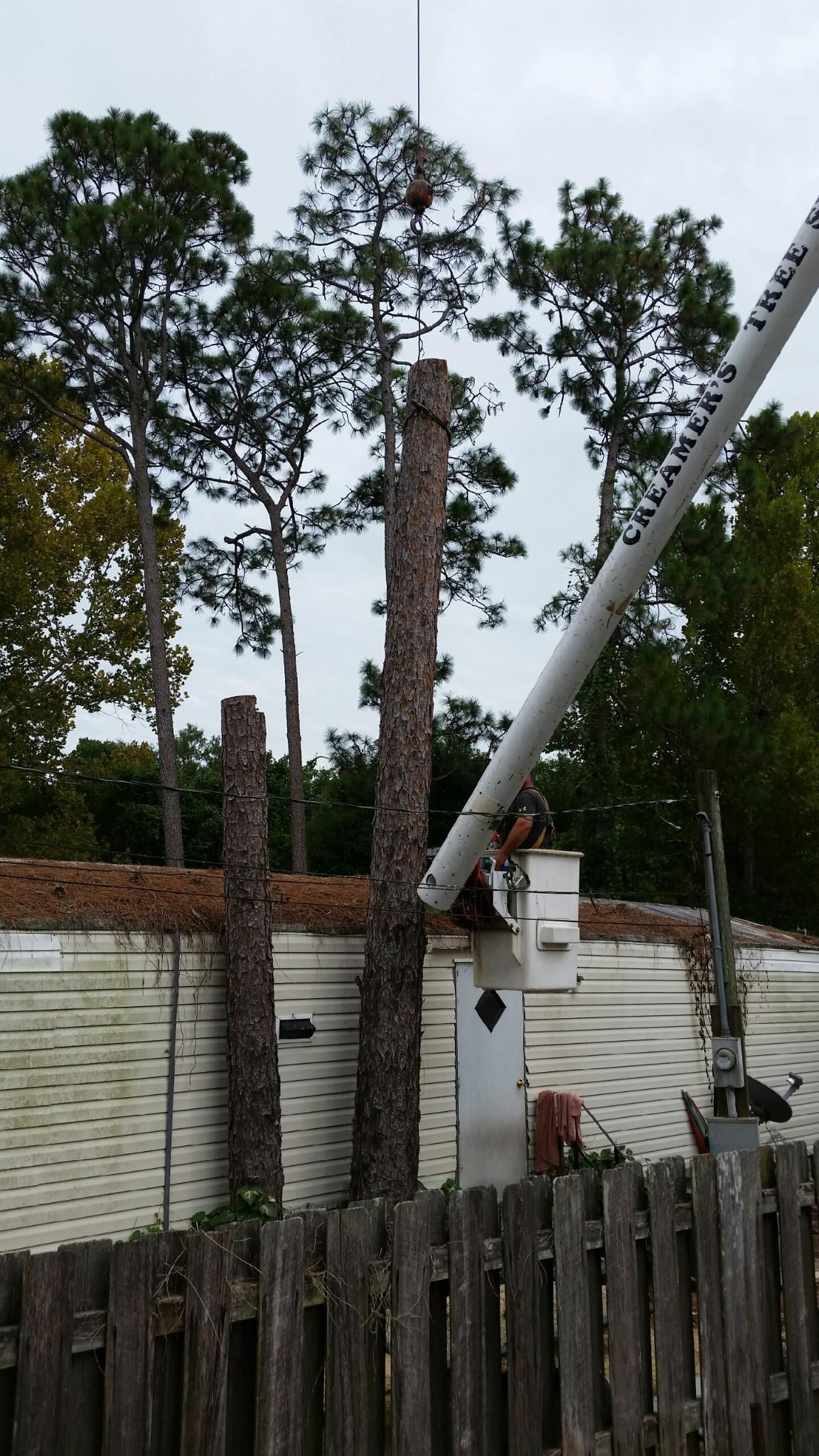Tall trees behind a white wall and wooden fence, with a raised utility boom arm in the foreground.
