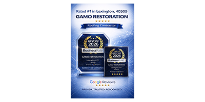 Gamo Restoration Best 0f 2026