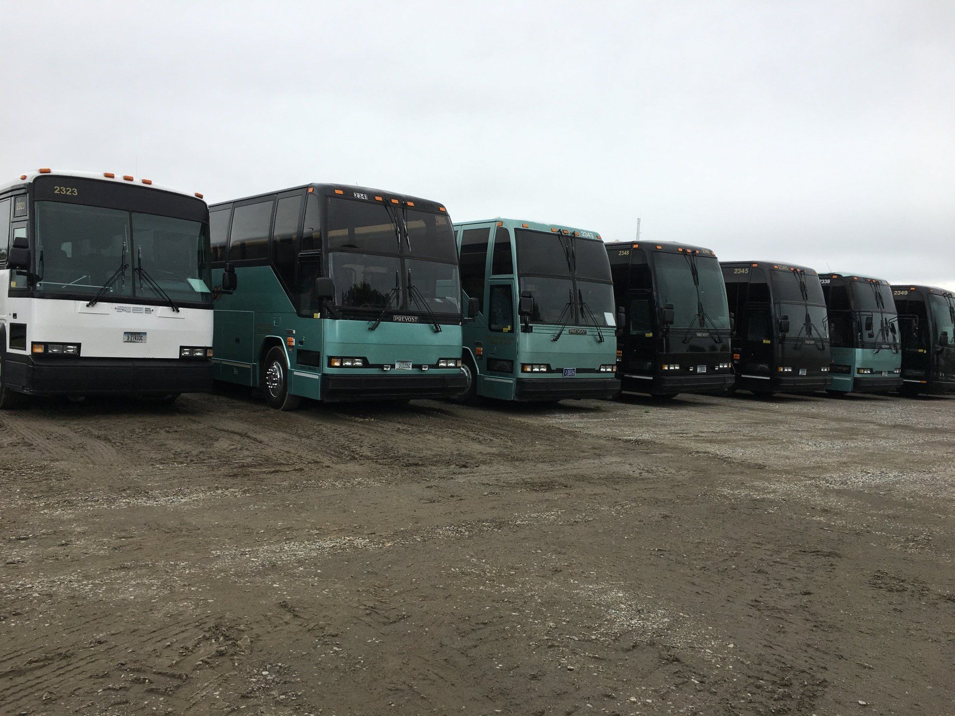 Bus