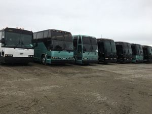 Buses for all occasions