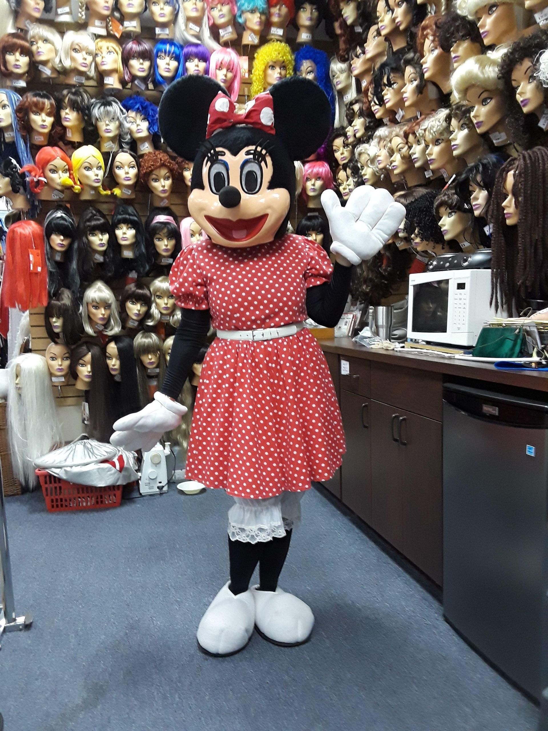 minnie costume