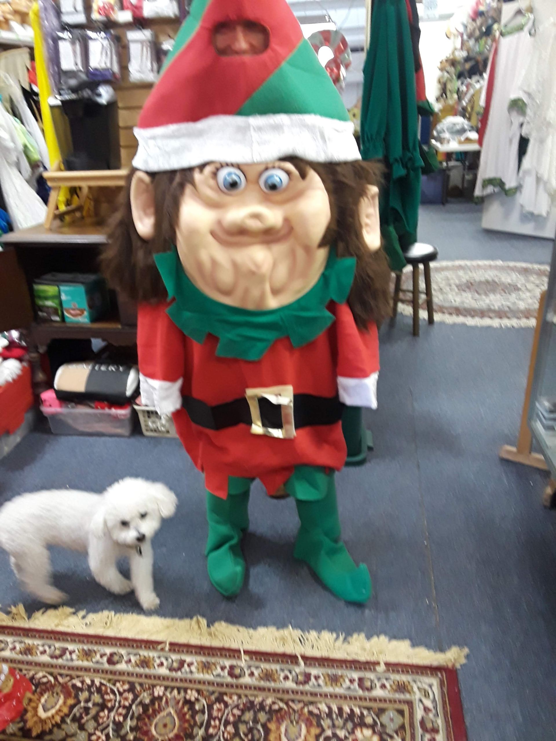 elf costume