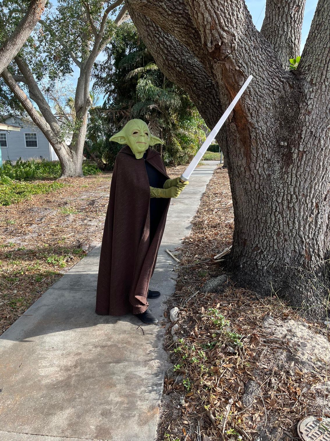 Yoda in costume with lightsaber standing beside a tree.