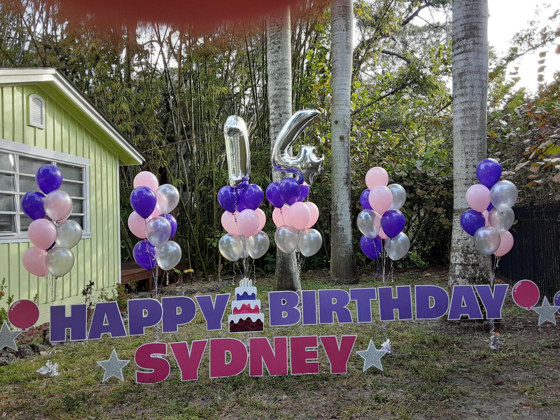 14 blue silver and pink balloons