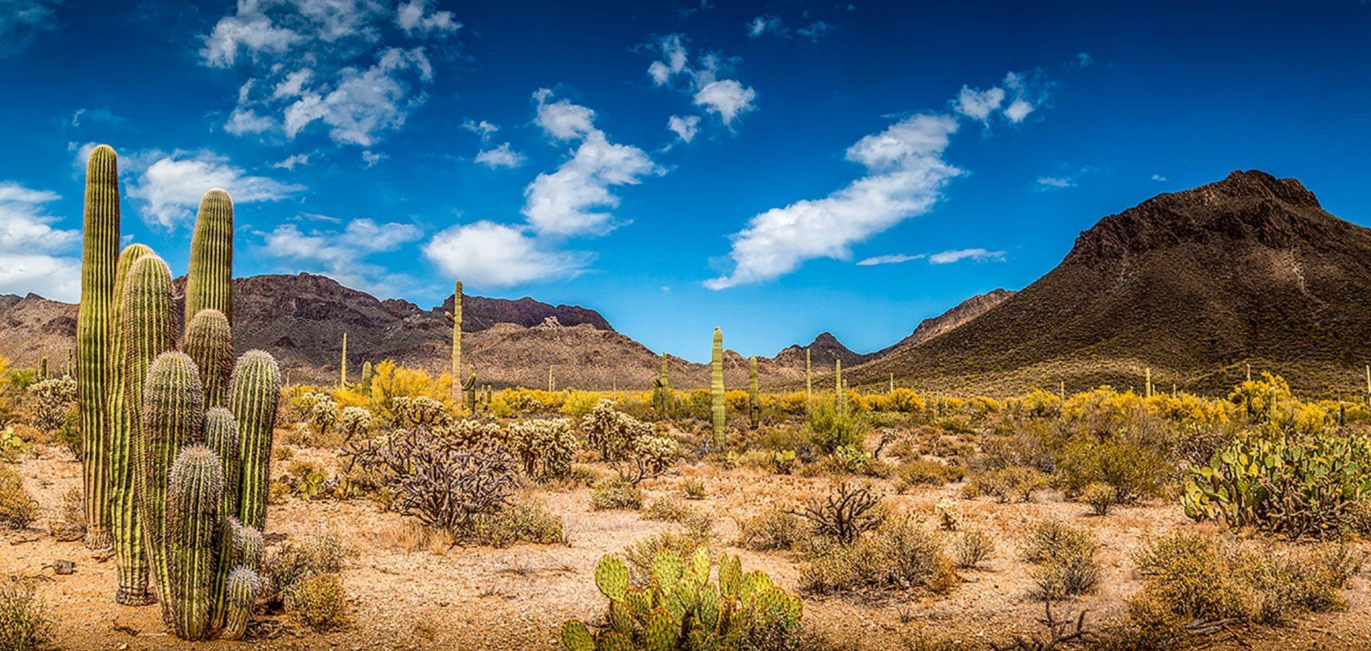 Water Well Drilling | Casa Grande, AZ