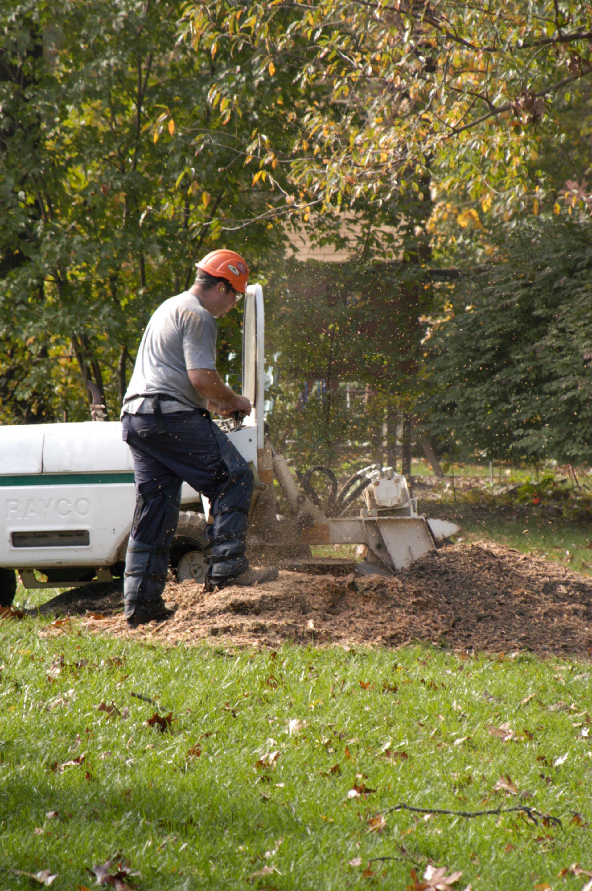 tree services