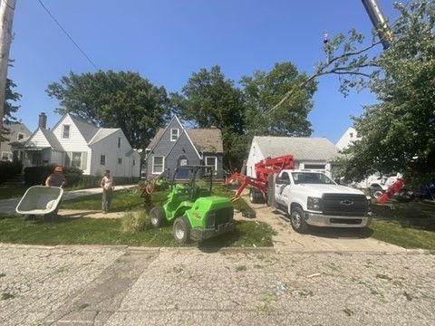tree removal equipment in front of house