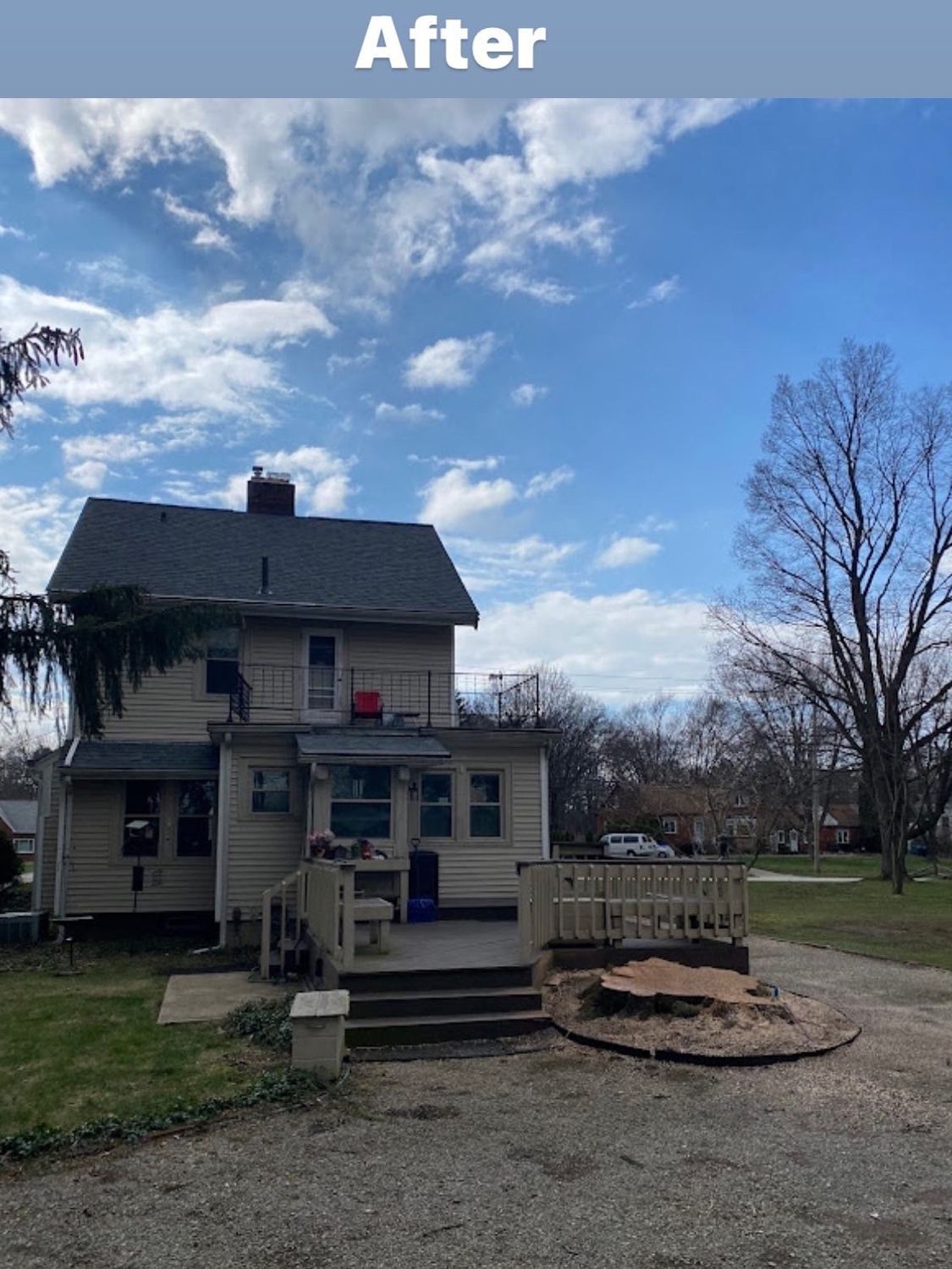 after tree removal