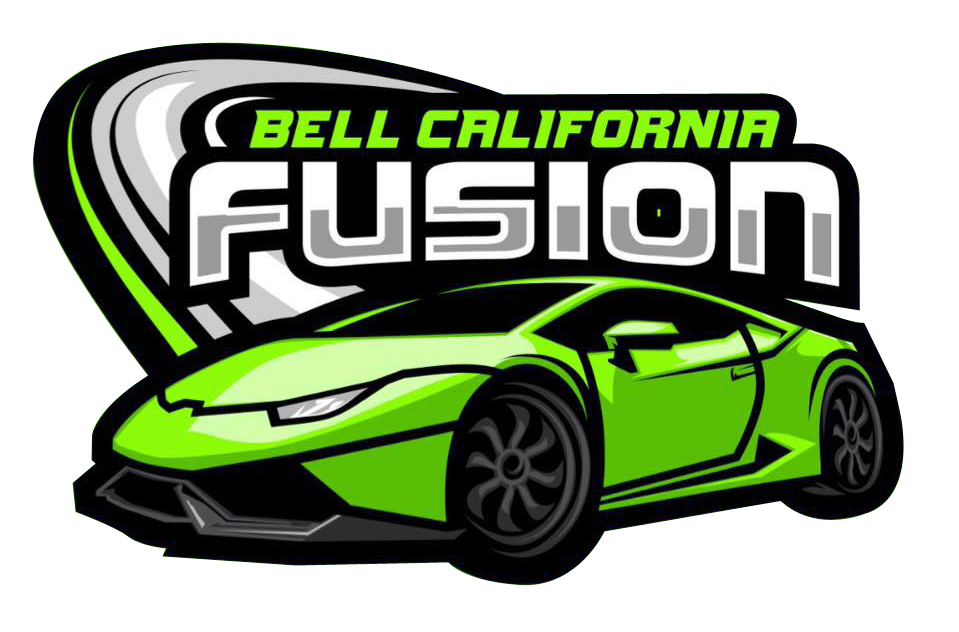 Fusion Car Audio Alarm Tint and Multimedia Logo