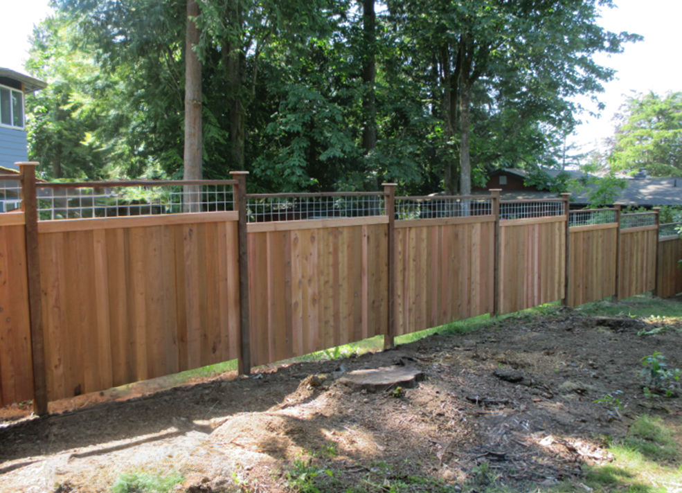 Wooden privacy fence with a wire mesh top, in a backyard setting.