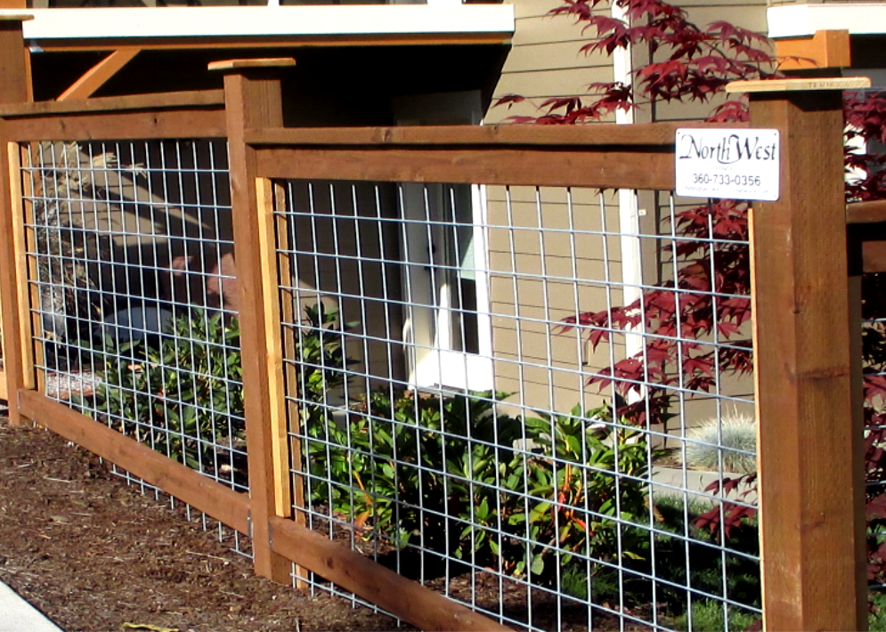 Wooden fence with wire mesh panels, surrounding landscaping with a red-leafed plant and green bushes.
