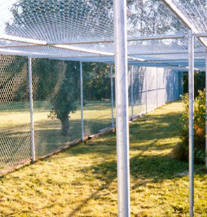 A long, fenced enclosure with netting on top, outdoors on grassy land, trees in the background.