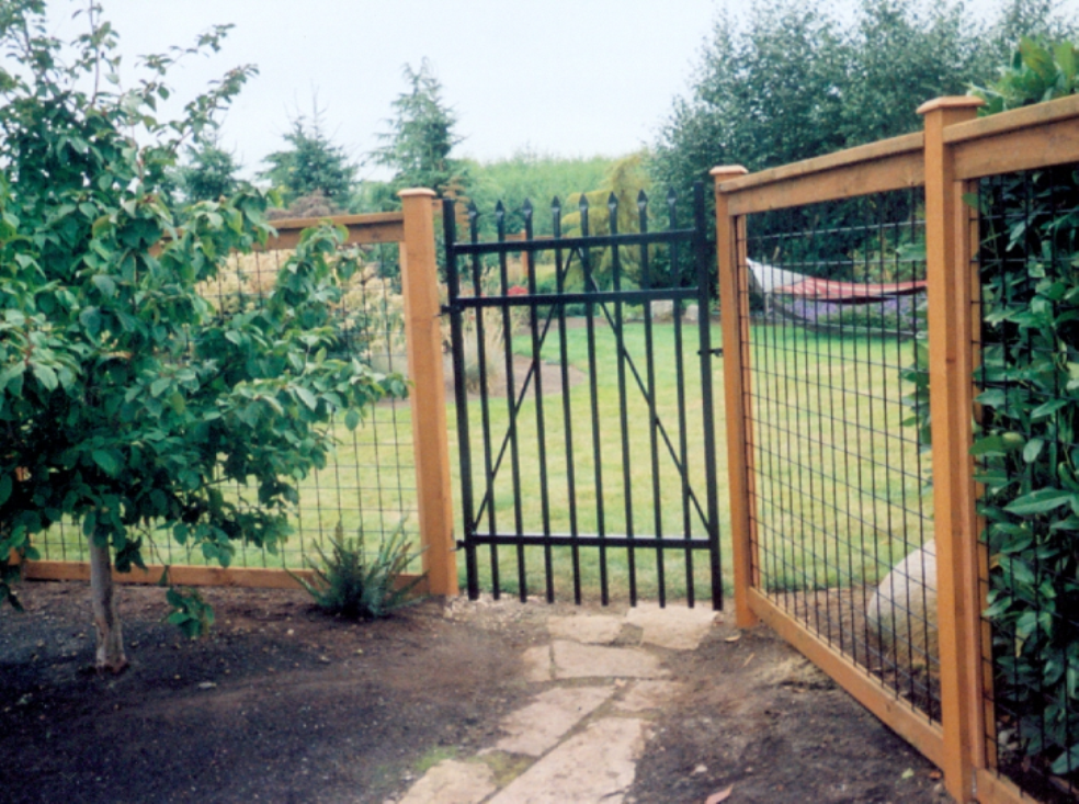 Black iron gate in a wooden fence, leading to a backyard with a hammock and trees.