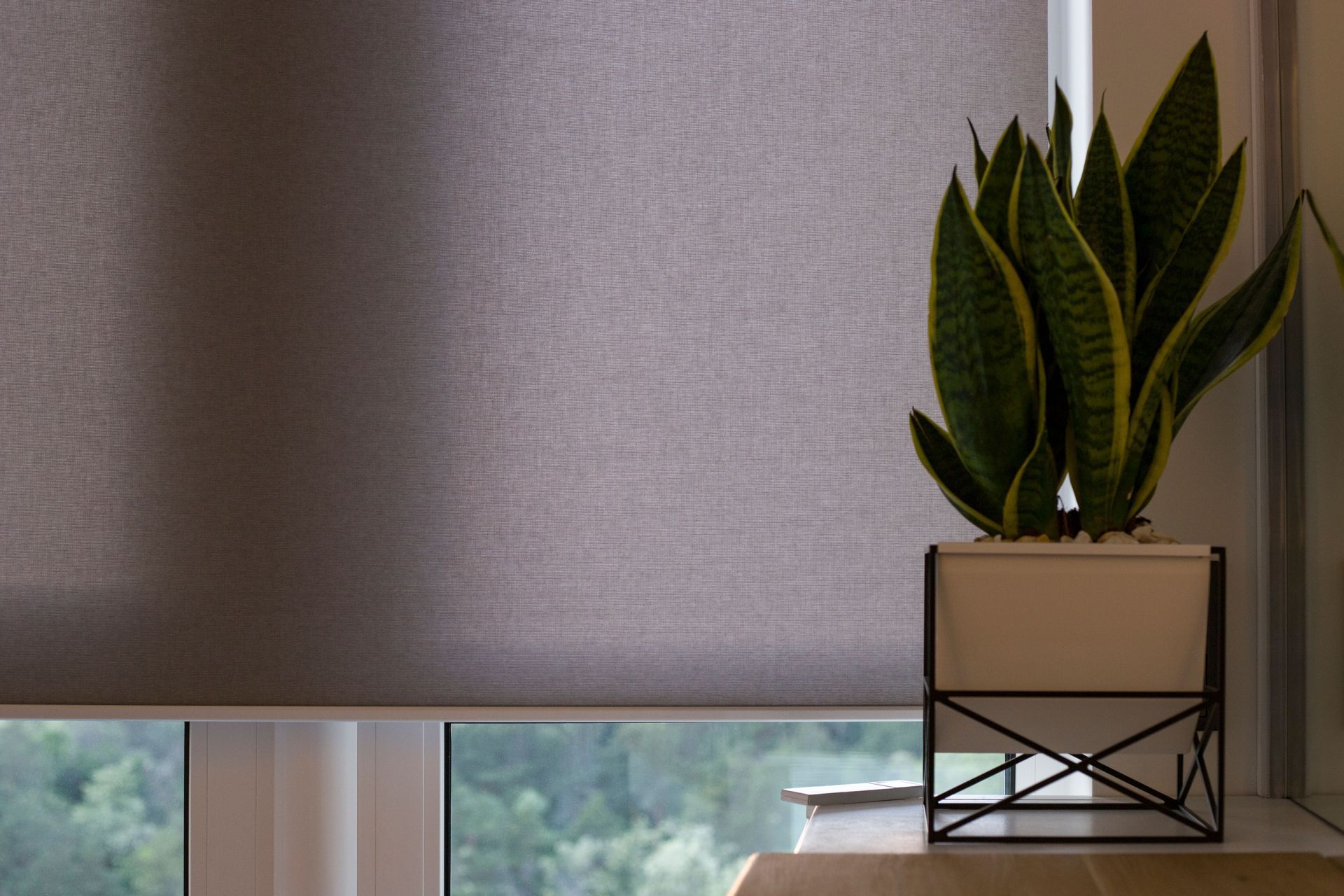 motorized shades