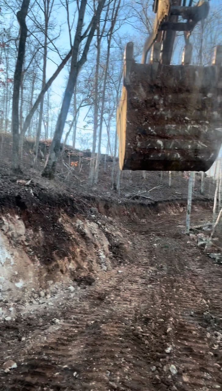 A bulldozer is digging a hole in the ground in the woods.