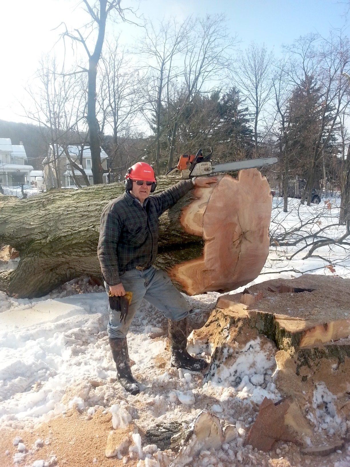 Man-Standing-Tree-Down
