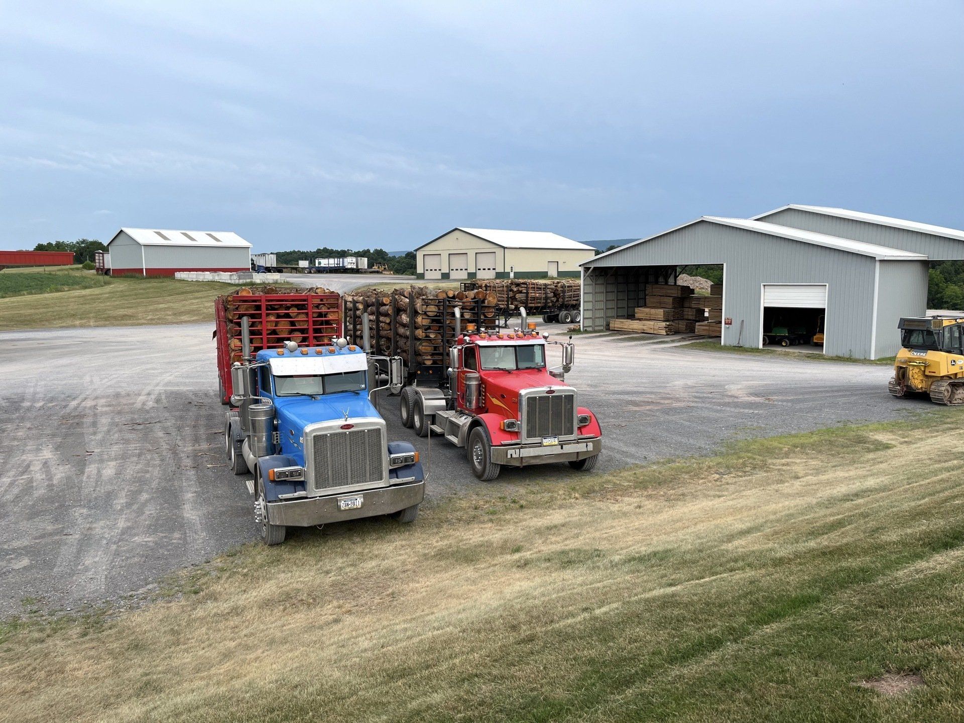 Two logging trucks