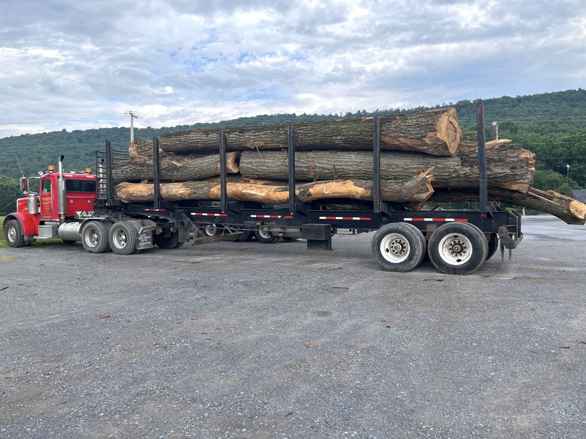 Logging truck filled with large tree logs