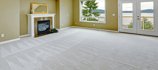 Cleaned carpet