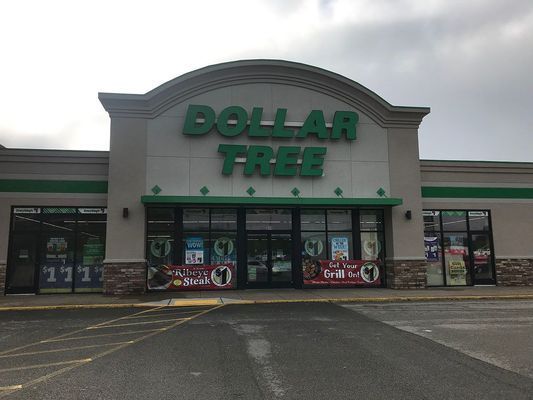 Dollar Tree store front with green lettering on a beige building under a cloudy sky.