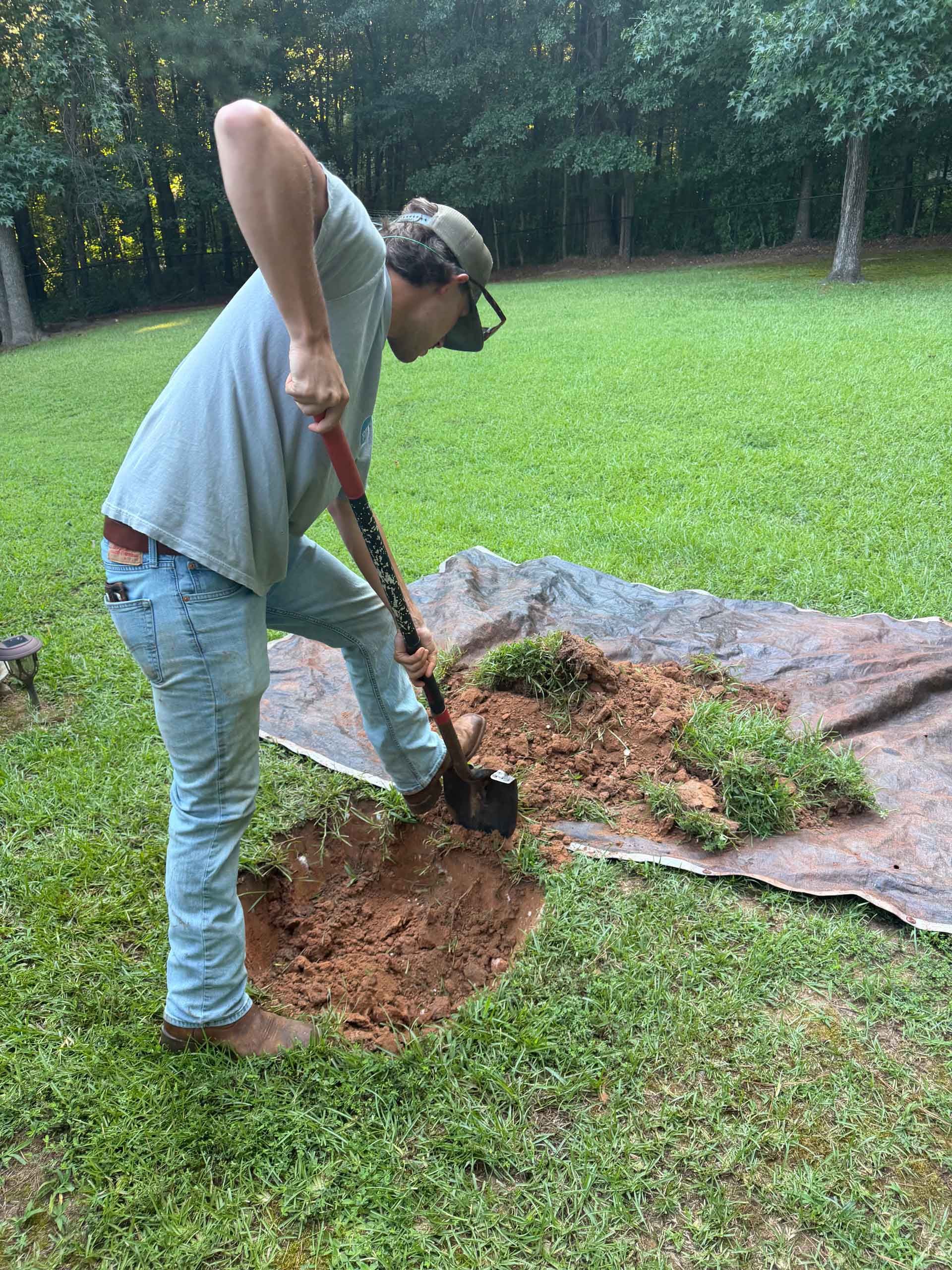 Person digging a hole in a grassy yard with a shovel near a patch of exposed soil and tarp.