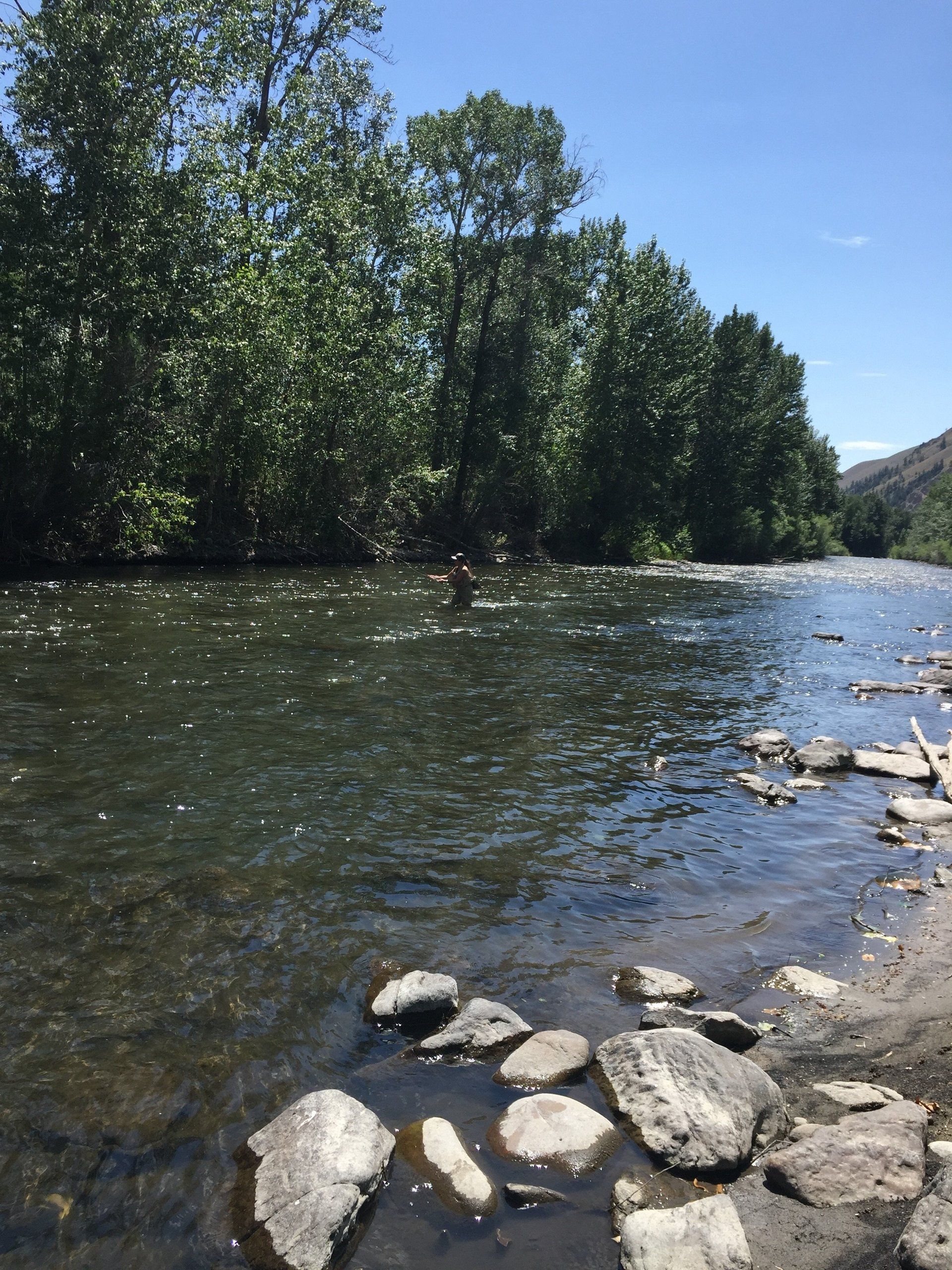 The Big Wood River Fishing | Hatch Flies | Ketchum, ID