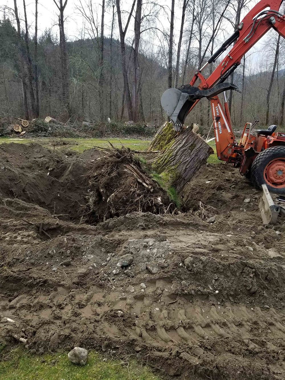 An orange tractor with a scoop is uprooting a large tree stump in a muddy field.
