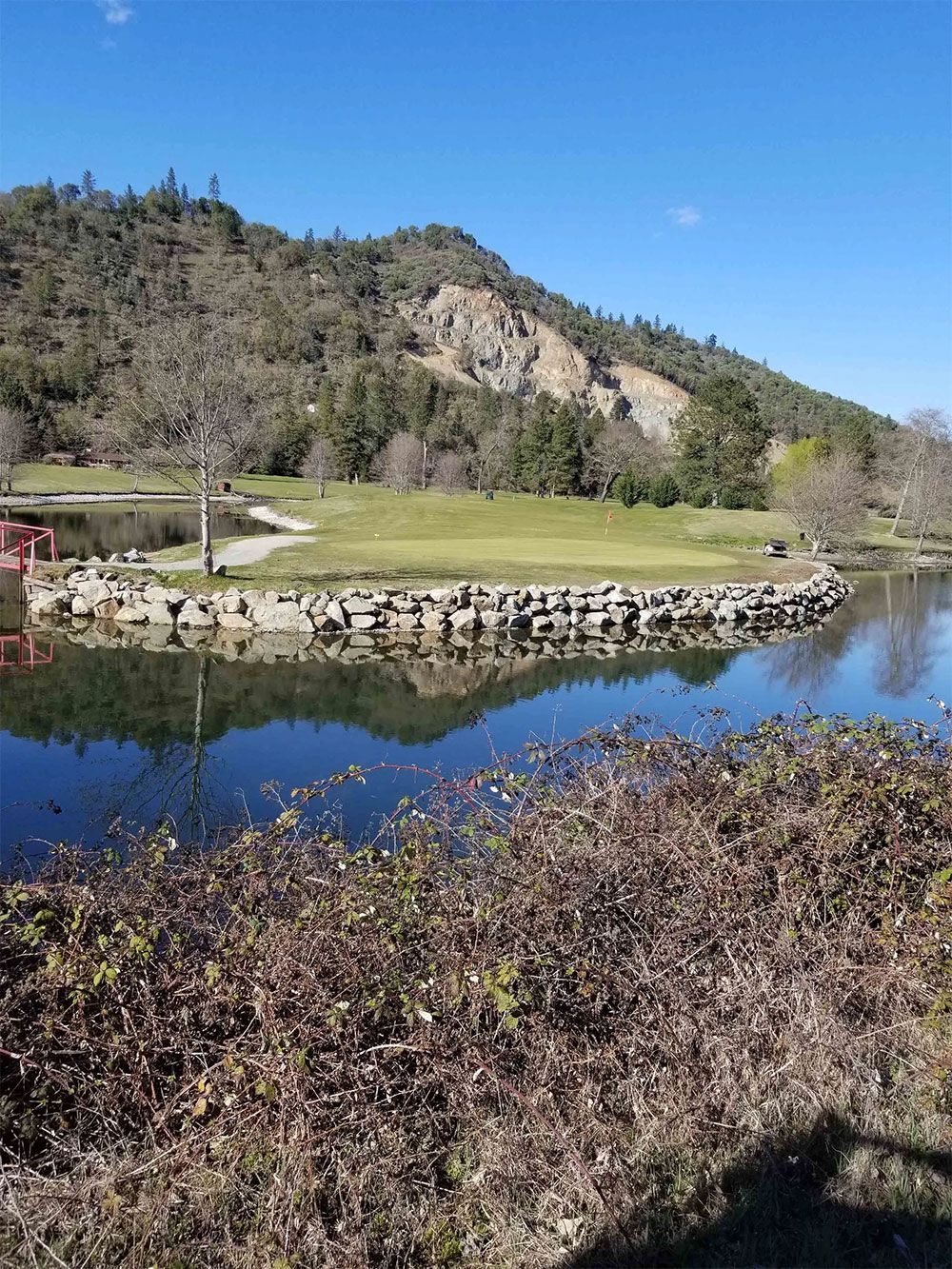 Lake with a rocky shoreline, grassy area, and a tree-covered mountain under a blue sky.