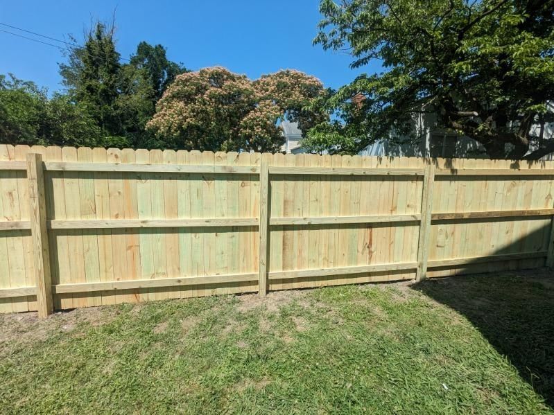 Wooden fence in a grassy backyard, under a bright blue sky, trees in the background.