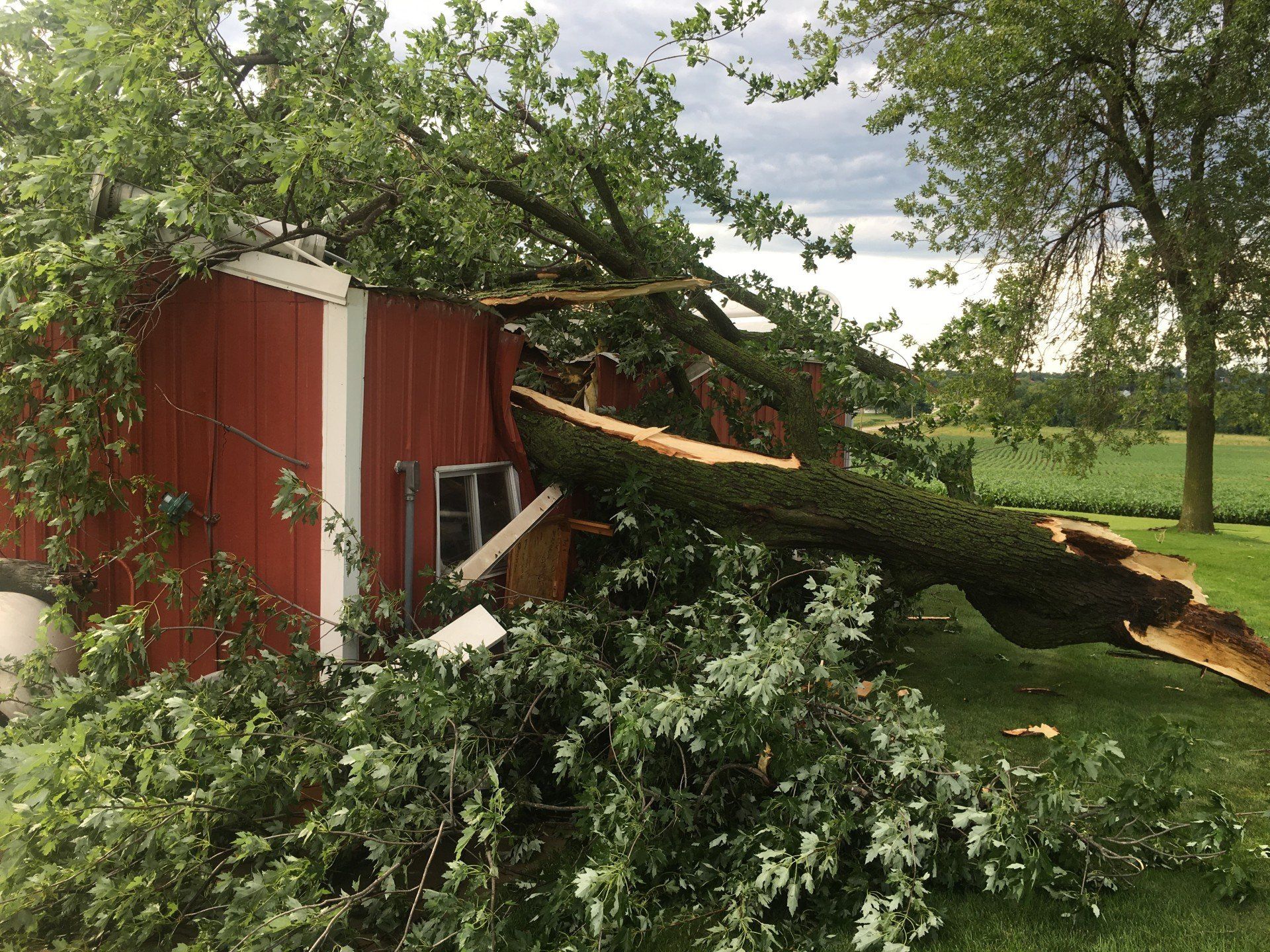 Storm damage