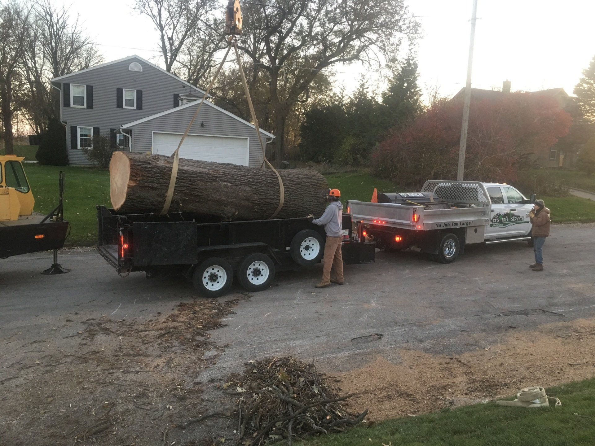 tree service
