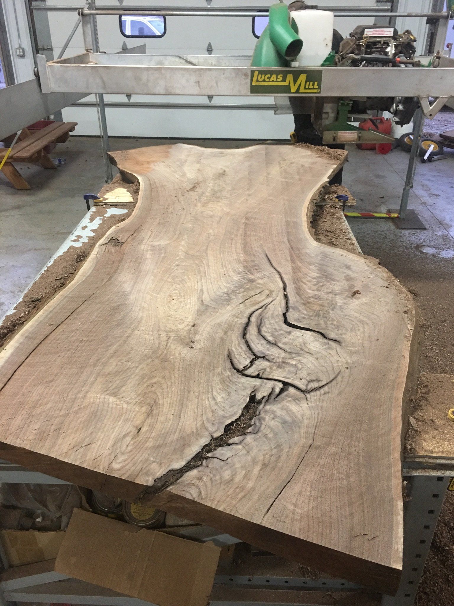 Cy's Tree Service Live Edge Slabs Gallery | Anamosa, IA