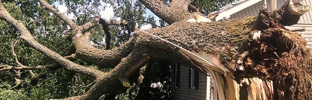 Storm Damage