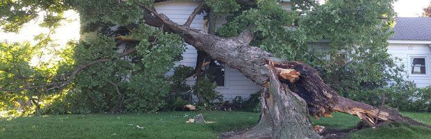 Storm Damage
