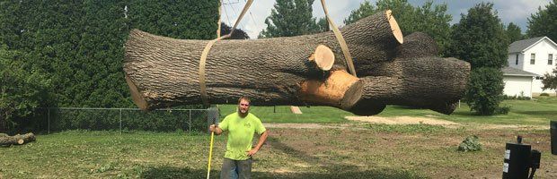 Tree Service