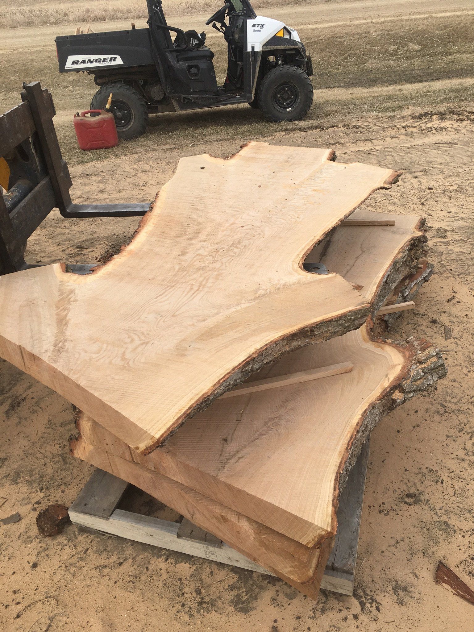 Cy's Tree Service Live Edge Slabs Gallery | Anamosa, IA