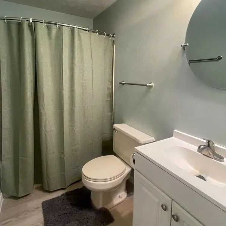 Small bathroom with green shower curtain, toilet, vanity sink, mirror, and gray rug.
