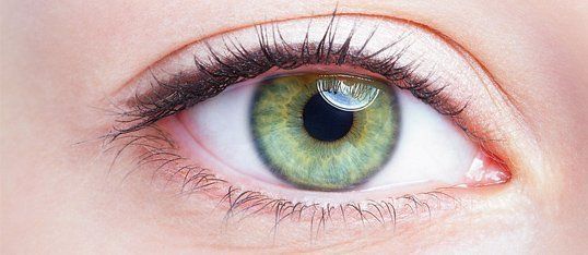 Corneal Transplant Procedures | Rockford, IL