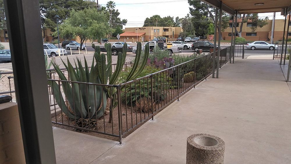 Plants surrounded by fence