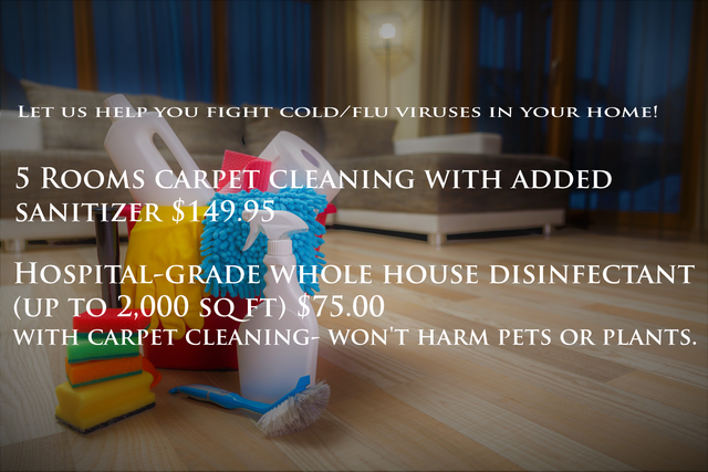 Alabama Carpet Specialist Upholstery Cleaning Wetumpka Al